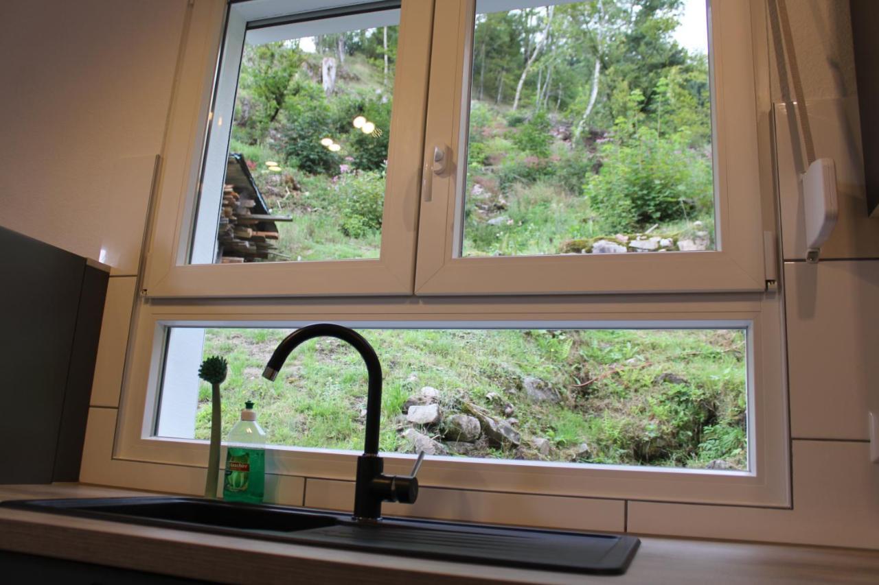 Ferienhaus Rauhfelsen Baiersbronn Kültér fotó